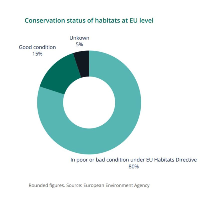 Peatlands Role In The EU Nature Restoration Law